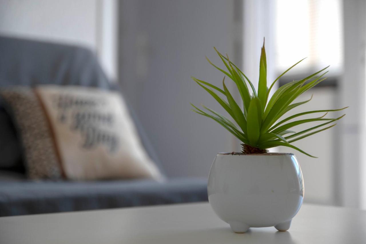 Studio Terrasse Montpellier - Parking Prive - Proche Ligne 1 외부 사진